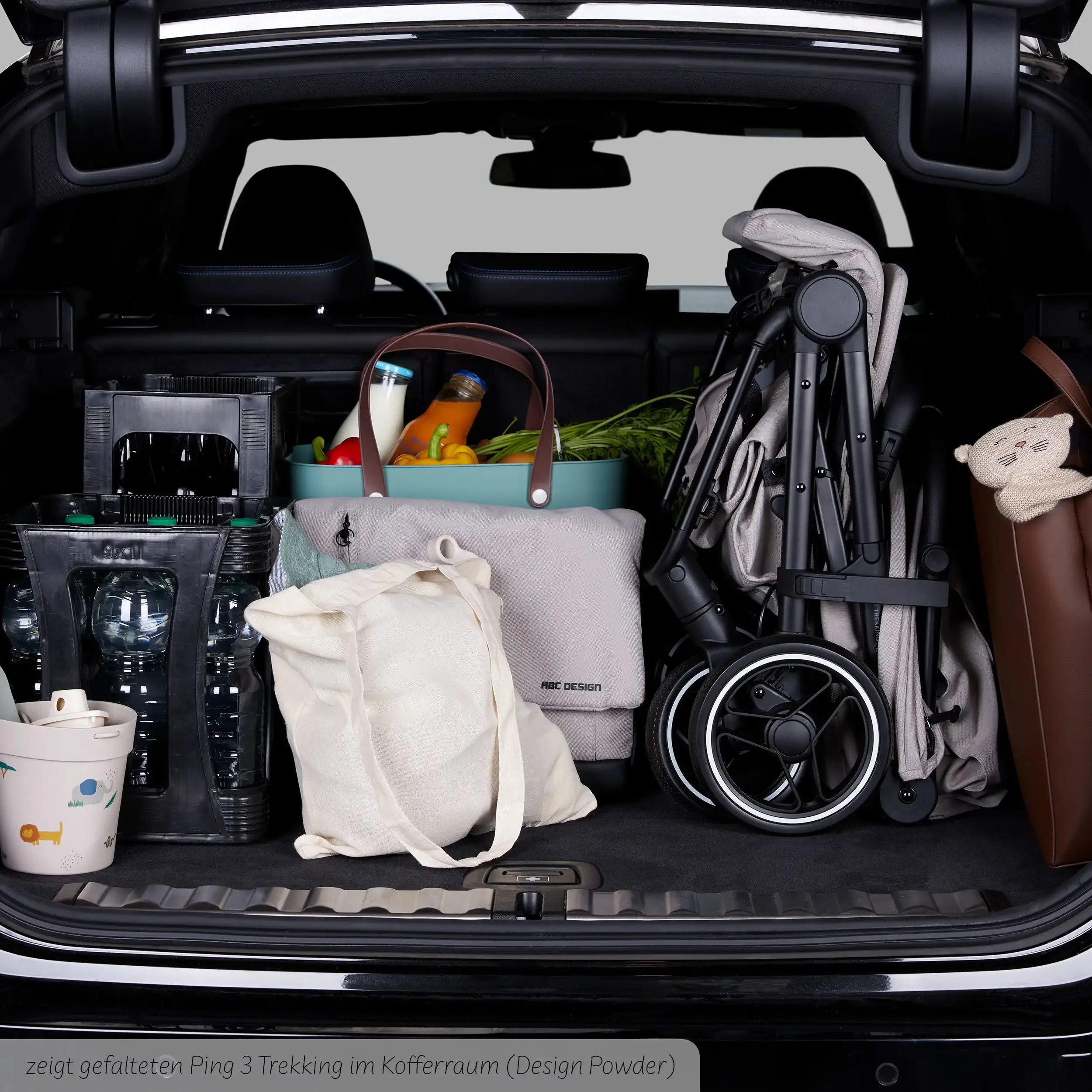 Poussette de voyage Ping 3 Trekking - Falcon