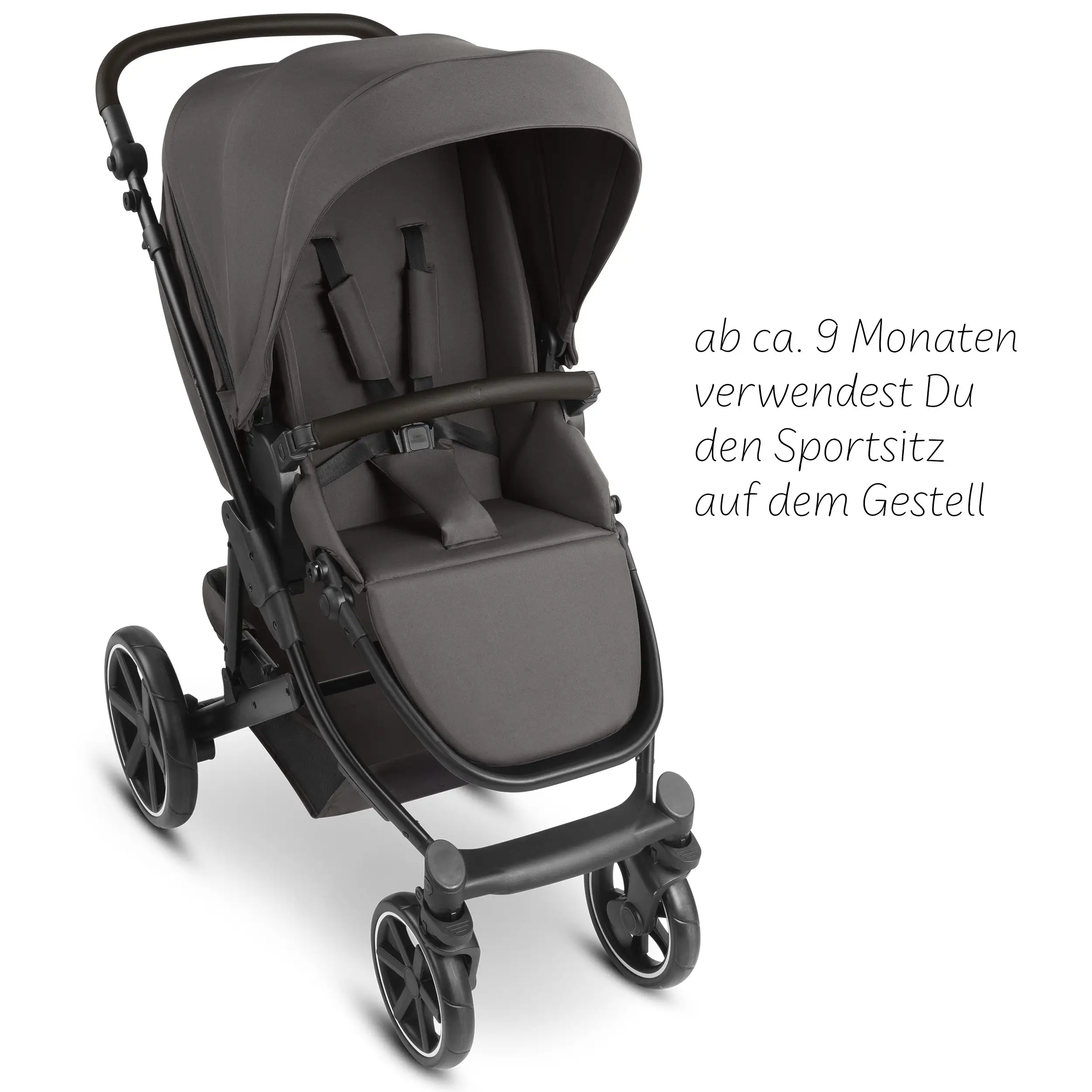 Ensemble poussette 4 en 1 Sierra avec base Isofix - Nut