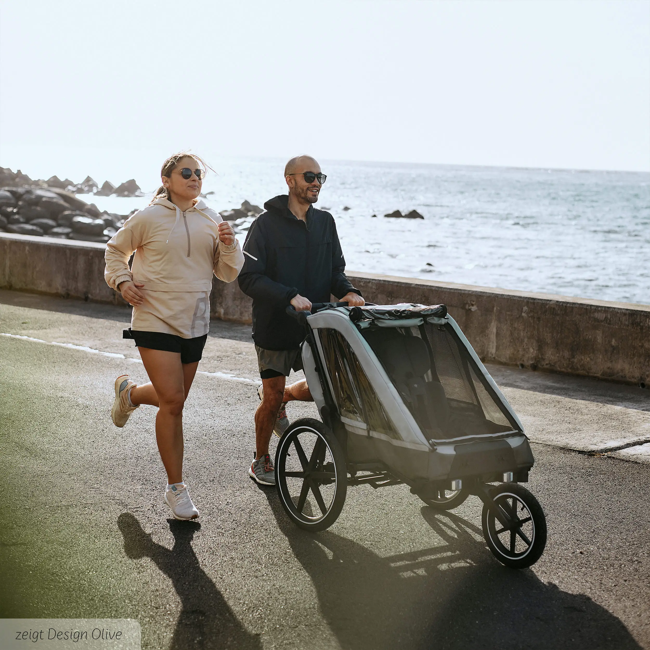 Remorque à vélo Tour 2 avec 2 sièges confortables et roues gonflables - Falcon
