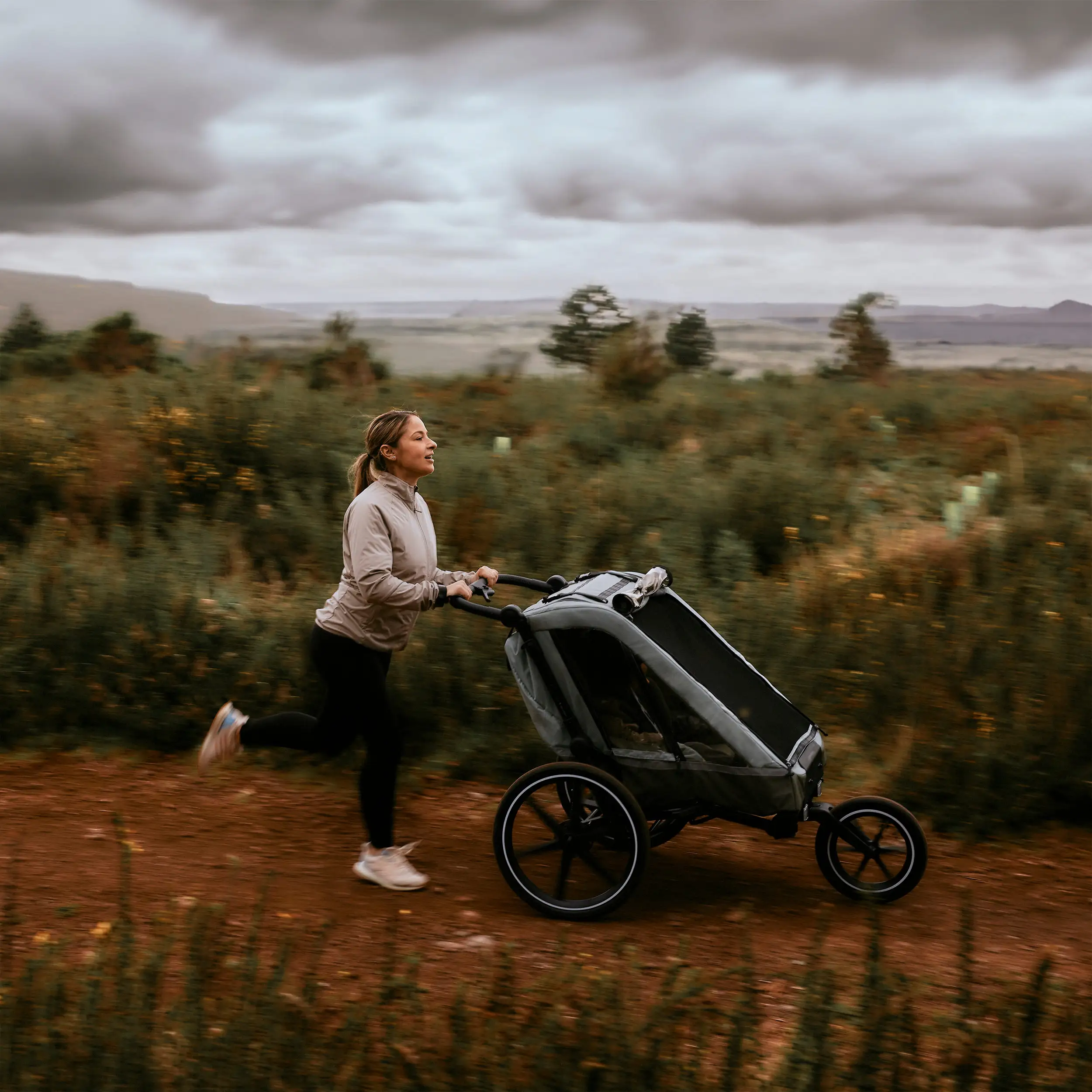 Remorque à vélo Tour 2 avec 2 sièges confortables et roues gonflables - Olive