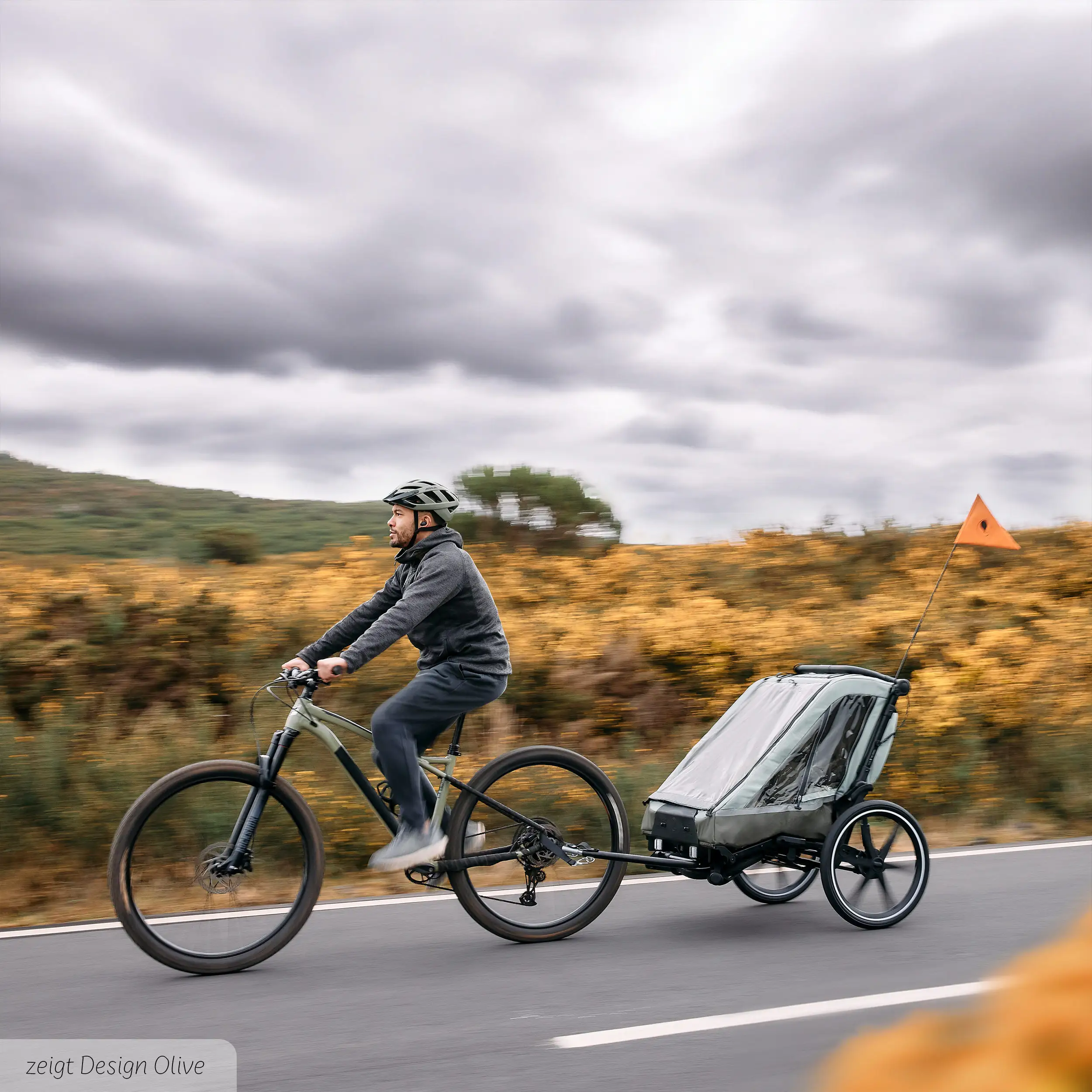 Remorque à vélo Tour 2 avec 2 sièges confortables et roues gonflables - Falcon