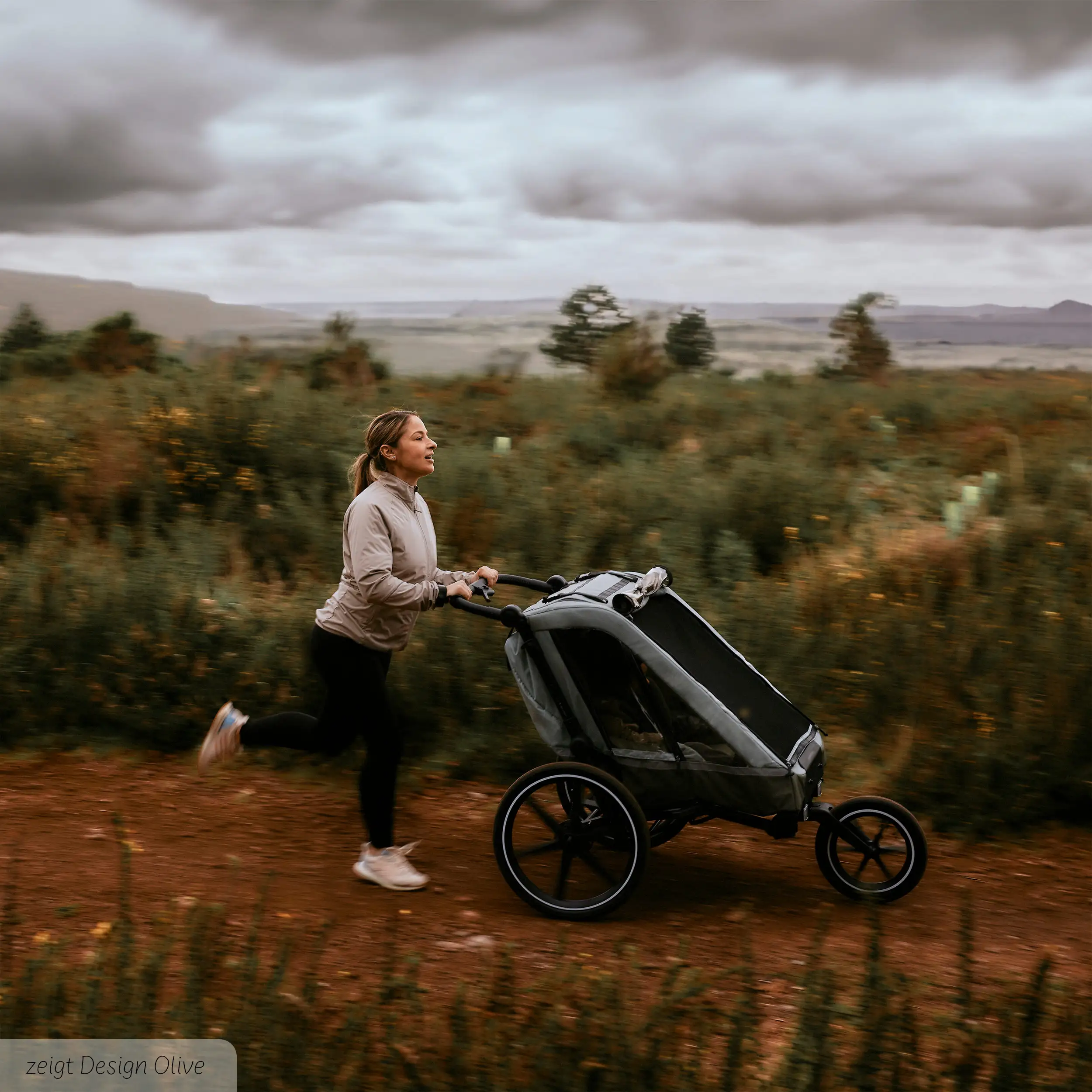 Remorque à vélo Tour 2 avec 2 sièges confortables et roues gonflables - Falcon