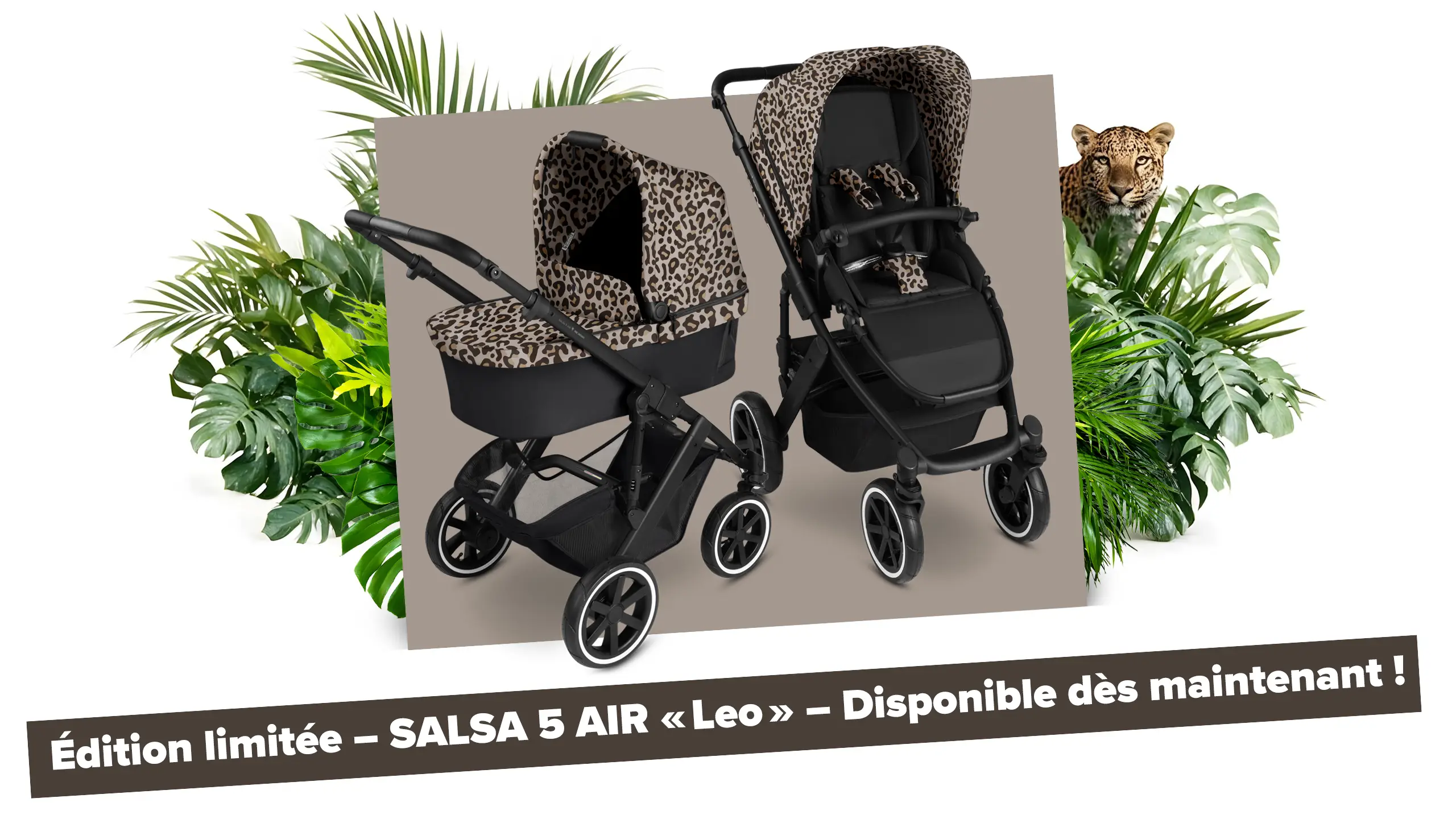 Salsa 5 Air Leo