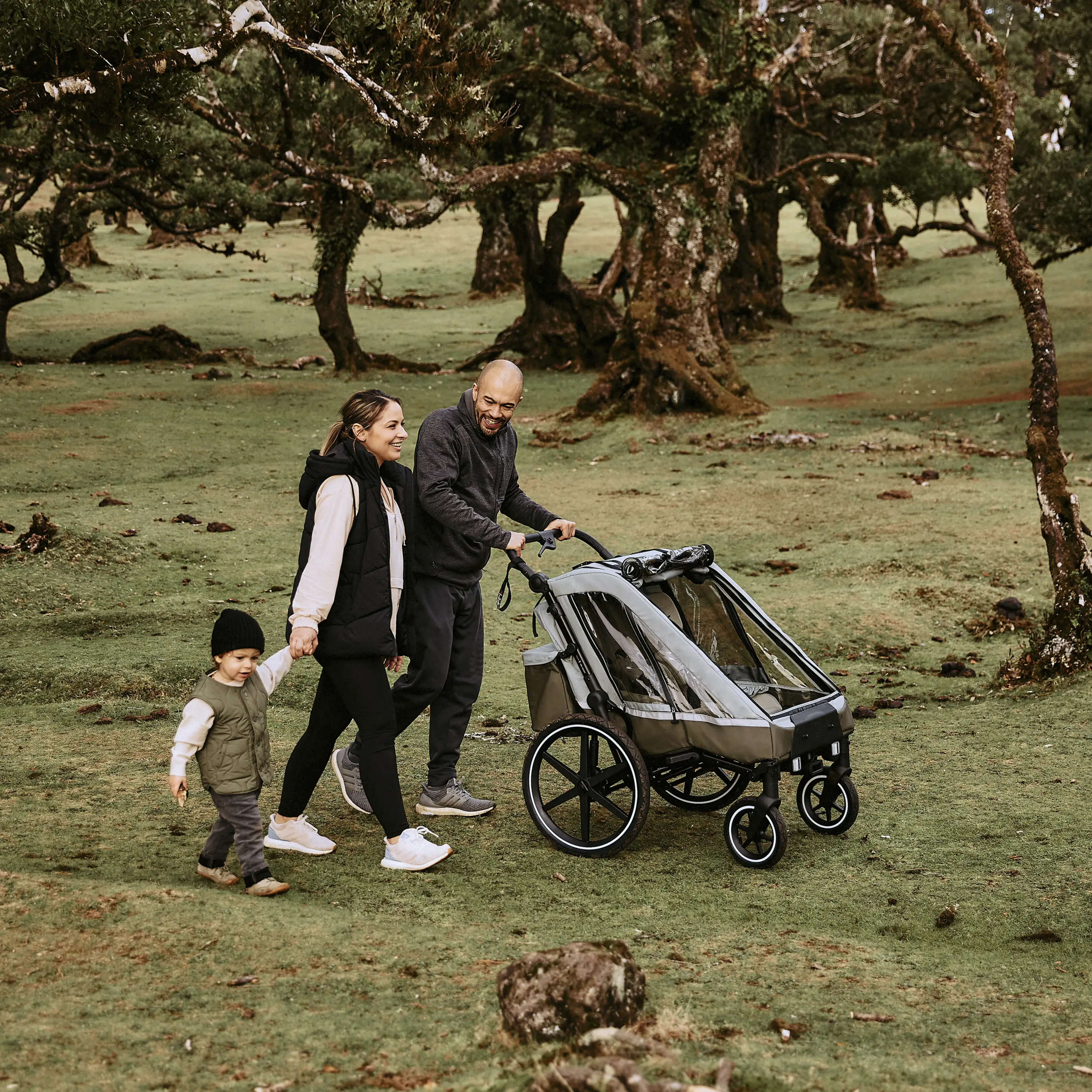 Poussette pour les promenades